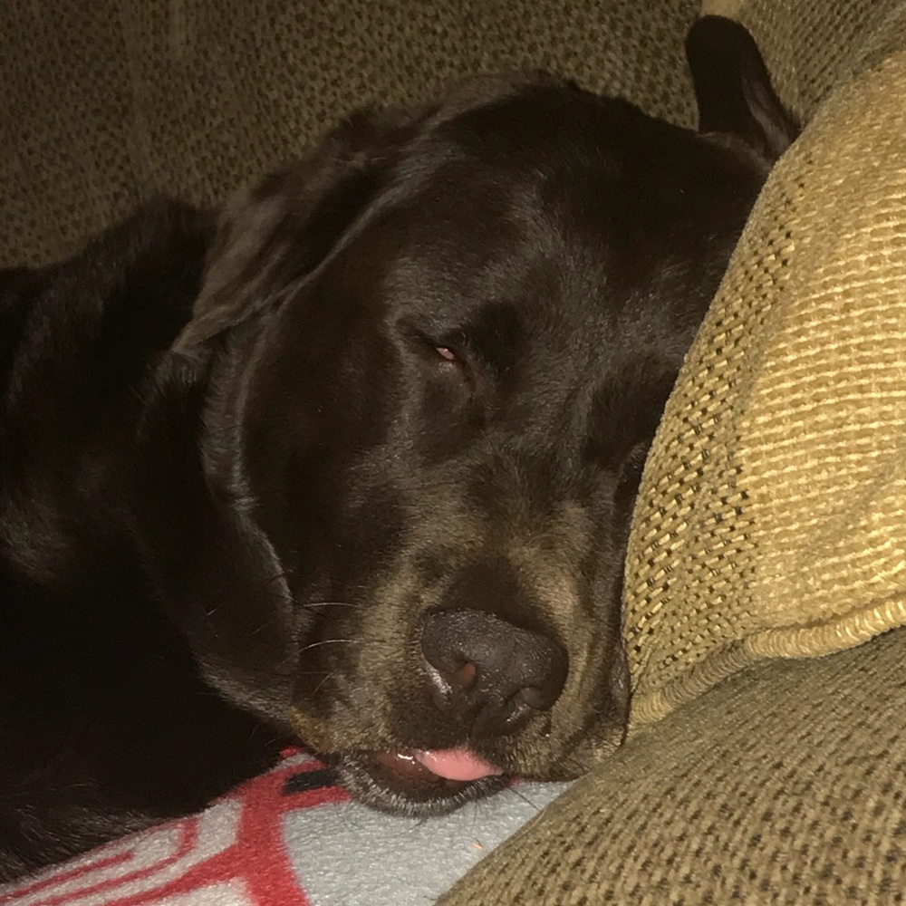 Meet your Posher, Jill